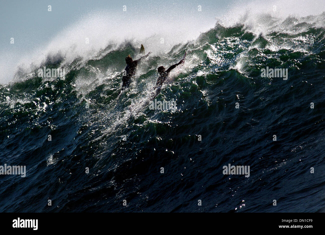 Feb 07, 2006; Half Moon Bay, CA, Stati Uniti d'America; Surfers lotta il loro modo al di sopra di un'onda pausa mentre paddling out per incontrarsi con i concorrenti di i non conformisti Surf la concorrenza. Credito: foto di Kevin tedesco/Sacramento Bee/ZUMA premere. (©) Copyright 2006 by Sacramento Bee Foto Stock
