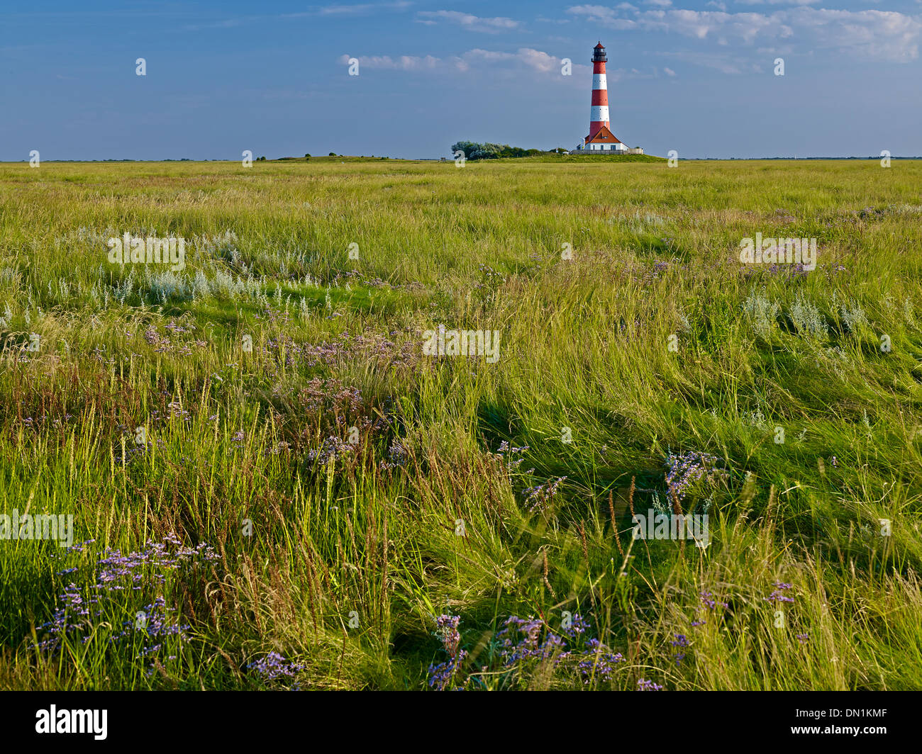 Faro Westerheversand, penisola di Eiderstedt, Frisia settentrionale, Schleswig-Holstein, Germania Foto Stock