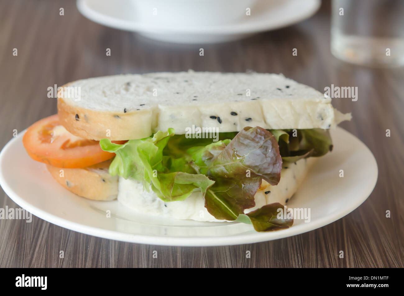 Sandwich freschi con i pomodori, lattuga e uovo fritto sul piatto Foto Stock