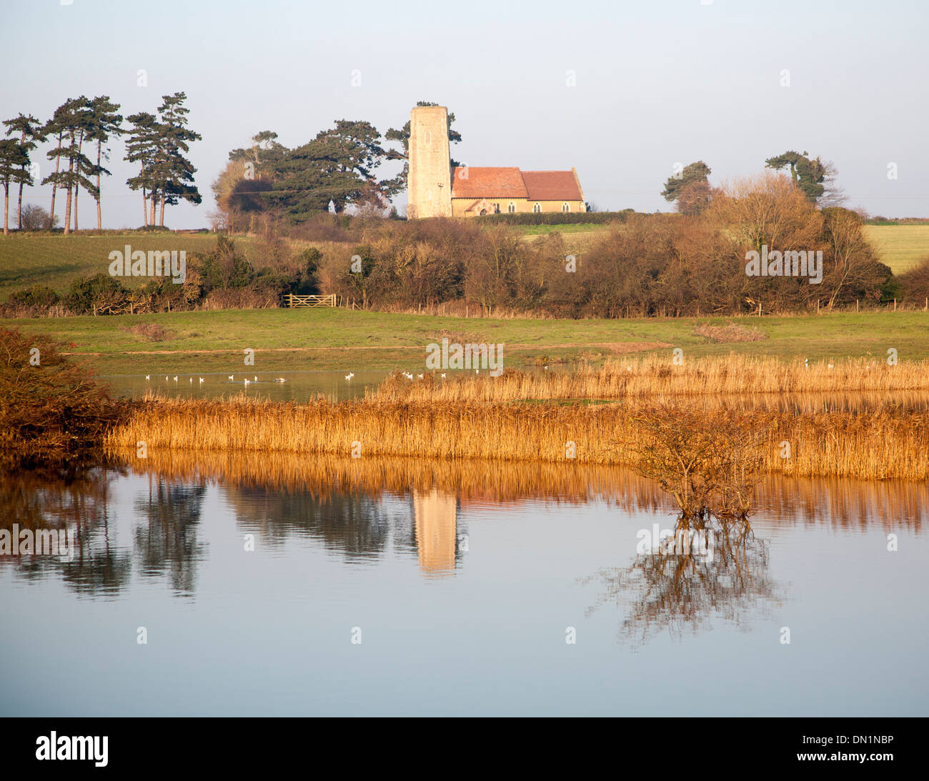 Inondazione in piedi in campo allagato per la prima volta in cinquant'anni da una mareggiata Ramsholt chiesa, Suffolk, Inghilterra Foto Stock