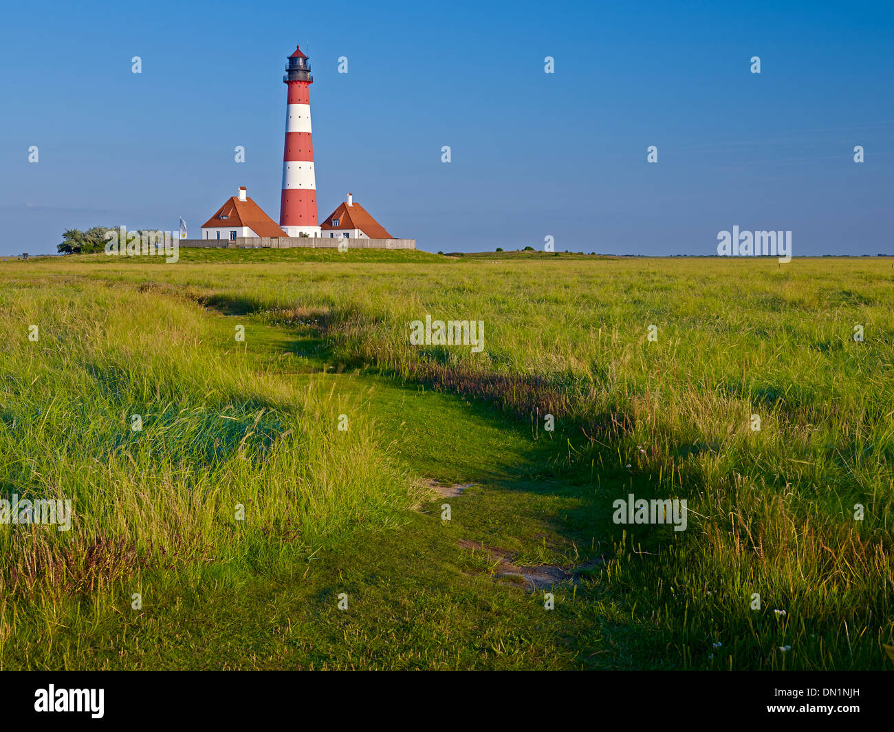 Faro Westerheversand, penisola di Eiderstedt, Frisia settentrionale, Schleswig-Holstein, Germania Foto Stock