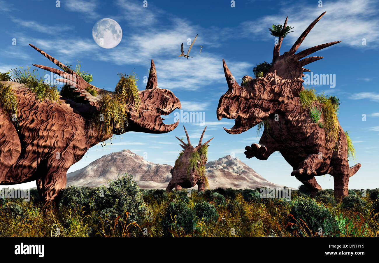 Styracosaurus sculture. Foto Stock