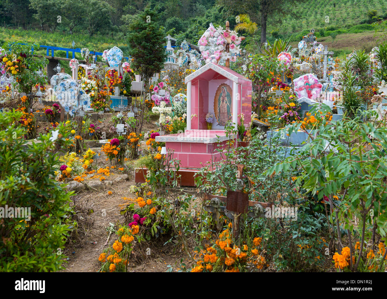 Cimitero di collina decorato con fiori e ghirlande per il Giorno dei Morti celebrazioni, vicino a Saltillo, Messico Foto Stock