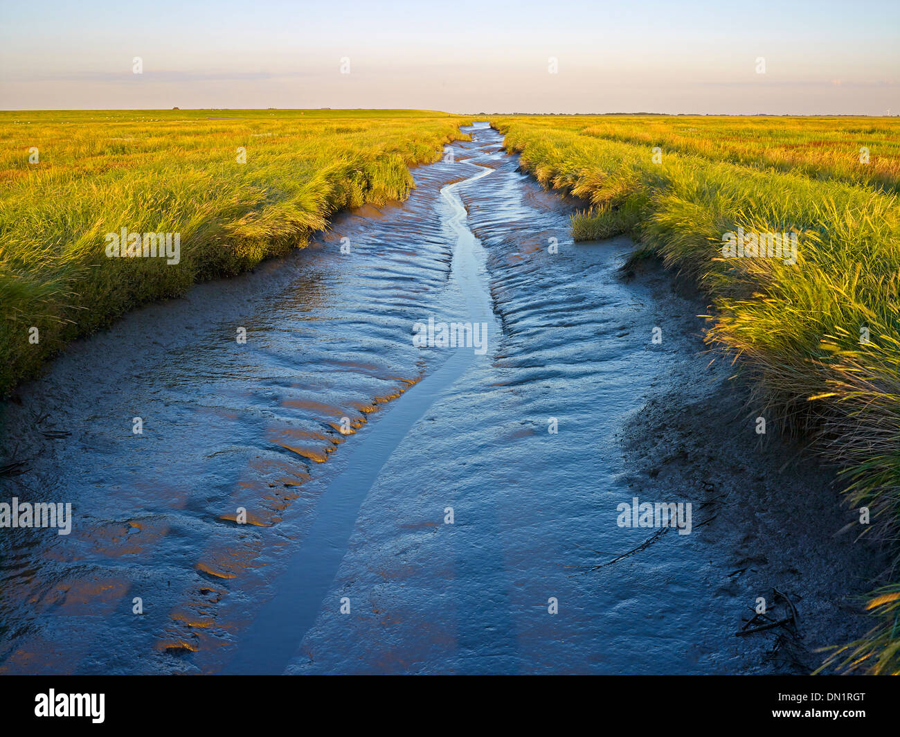 Tidal creek a Westerhever, penisola di Eiderstedt, Frisia settentrionale, Schleswig-Holstein, Germania Foto Stock