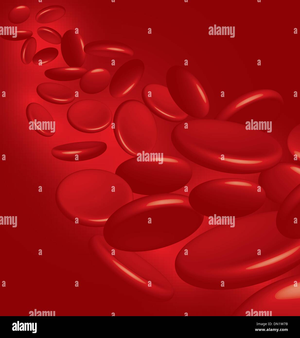 Le cellule del sangue vettore Illustrazione Vettoriale