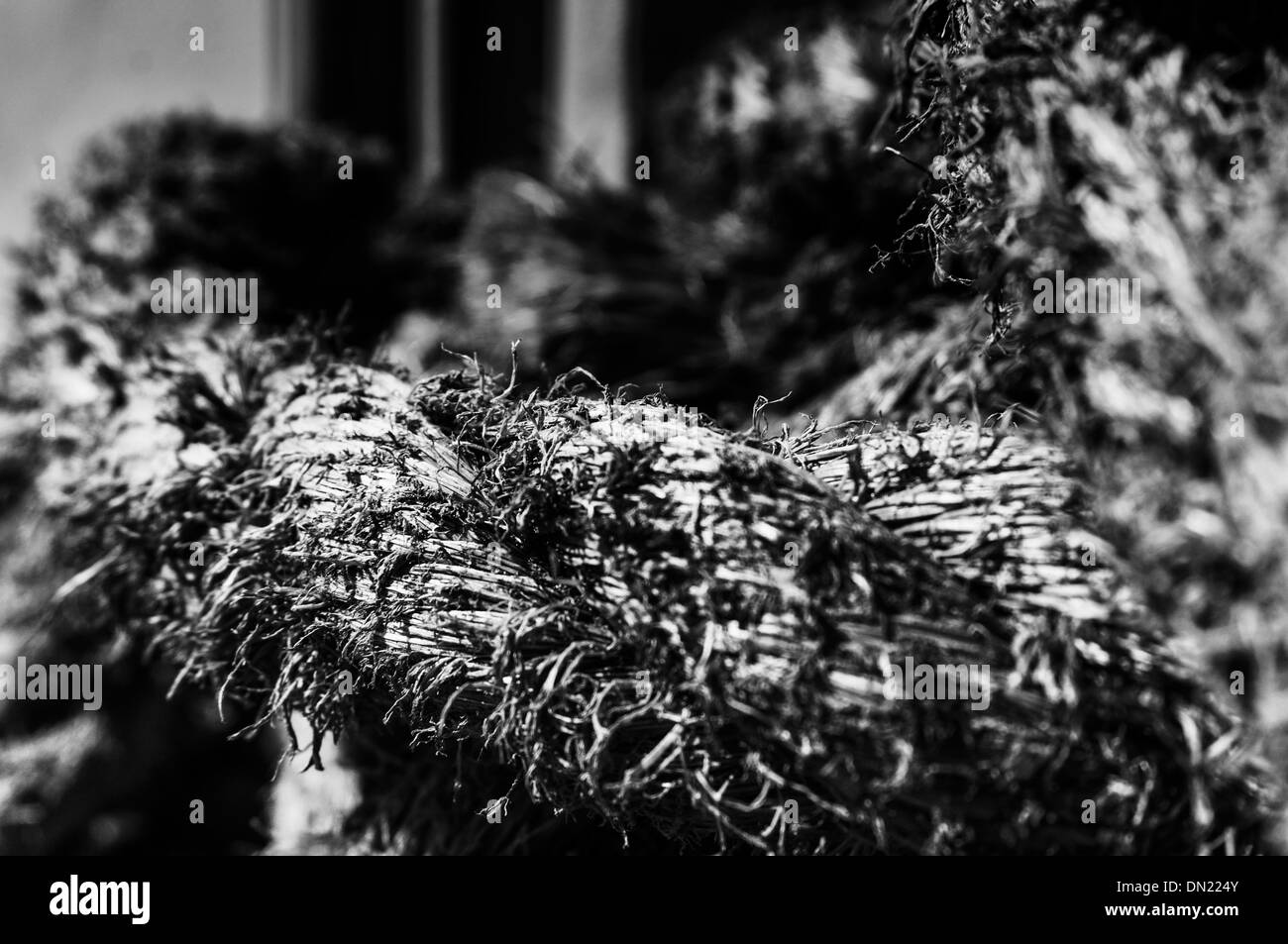 Chiudere fino in bianco e nero la foto che mostra il dettaglio e la tessitura di pesantemente usurati corda di vela Foto Stock