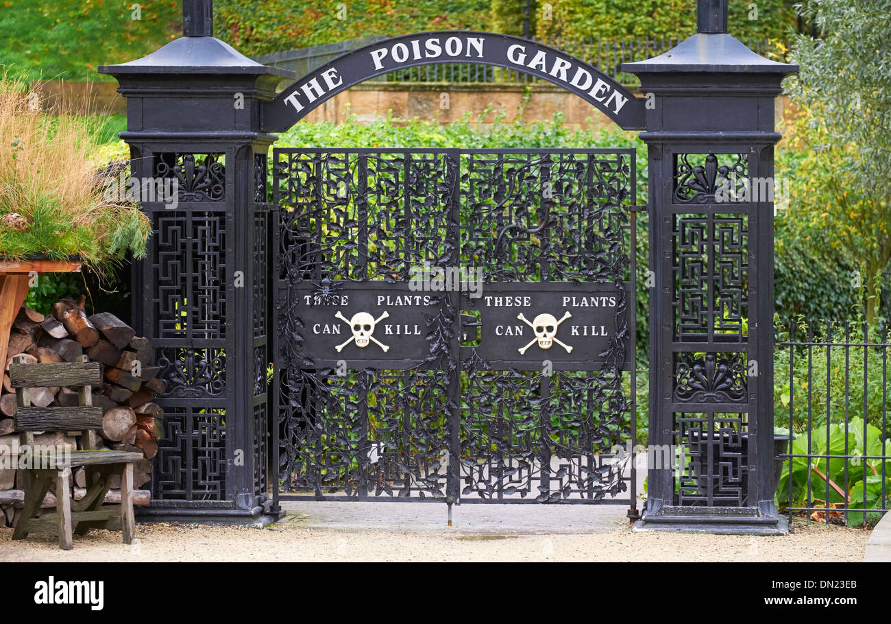 Giardino di veleno ad Alnwick giardino, Northumberland, Inghilterra, Regno Unito. Foto Stock
