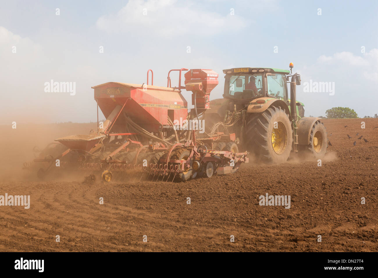 Terreno polveroso vola da ruote e attrezzature come un trattore trapani seme in un campo. Foto Stock