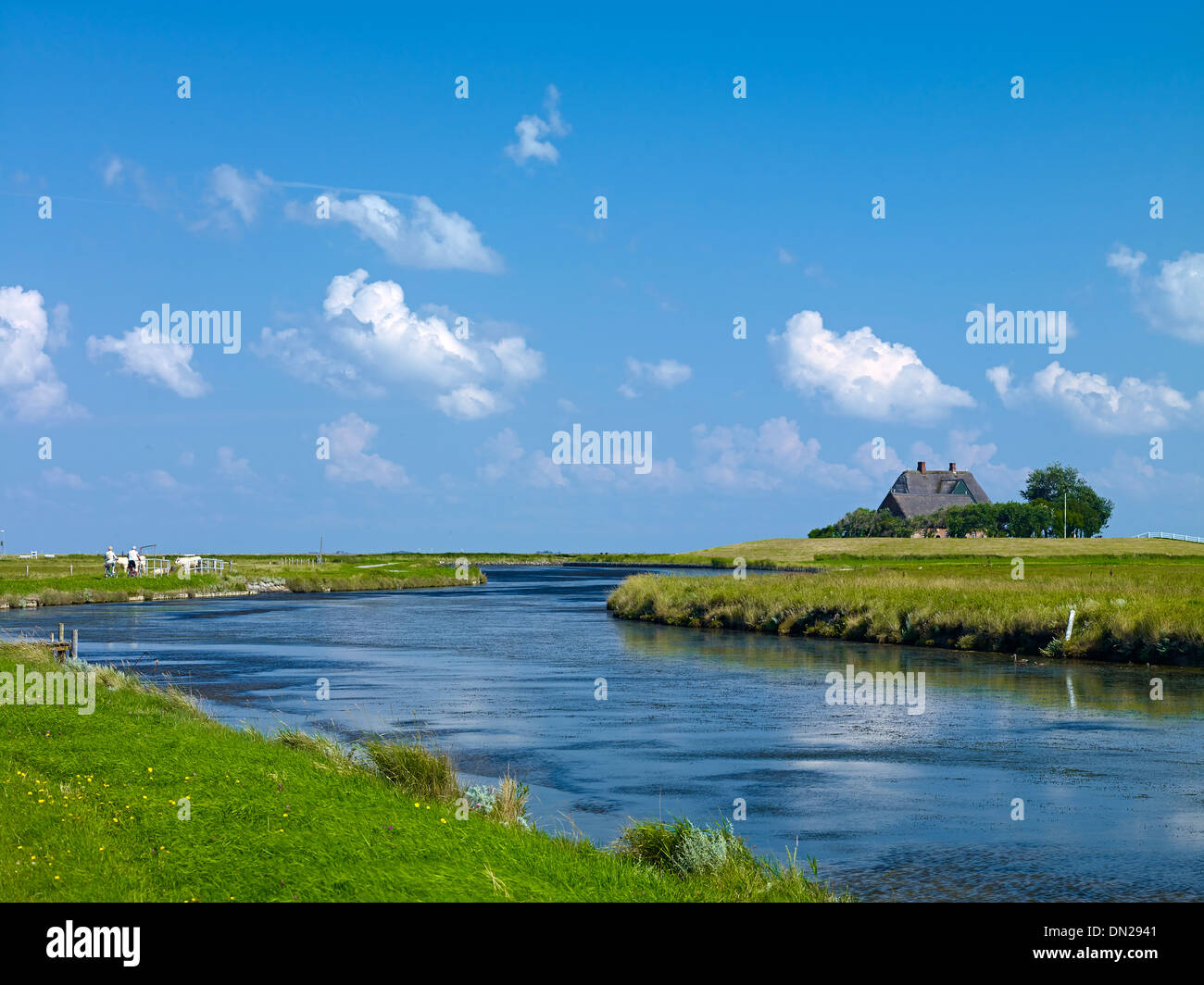 Kirchwarft su Hooge, Frisia settentrionale, Schleswig-Holstein, Germania Foto Stock
