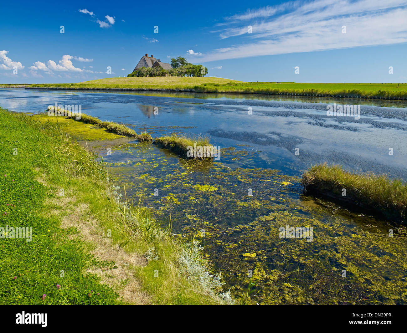 Kirchwarft su Hooge, Frisia settentrionale, Schleswig-Holstein, Germania Foto Stock