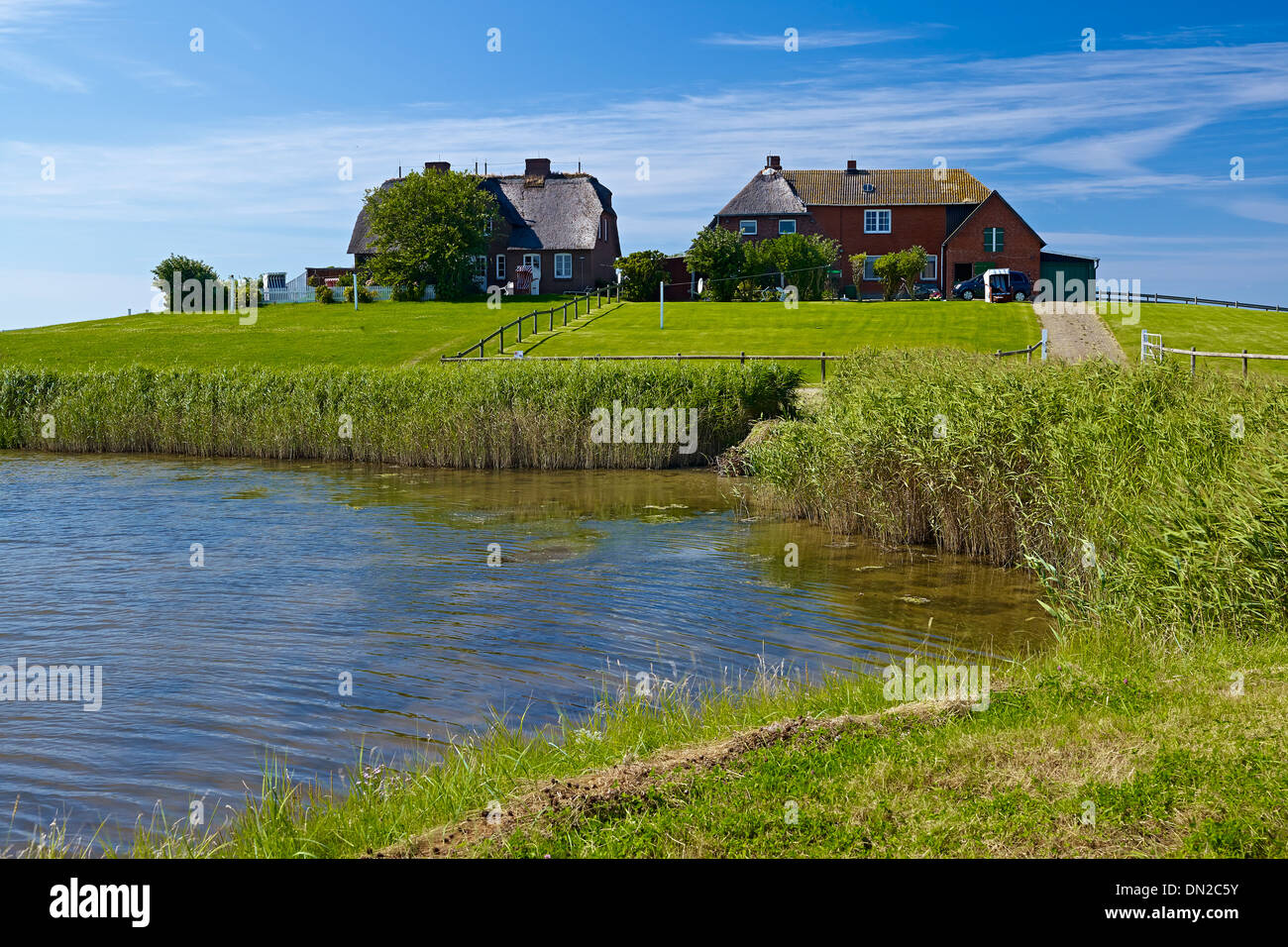 Westerwarft, Hooge, Frisia settentrionale, Schleswig-Holstein, Germania Foto Stock