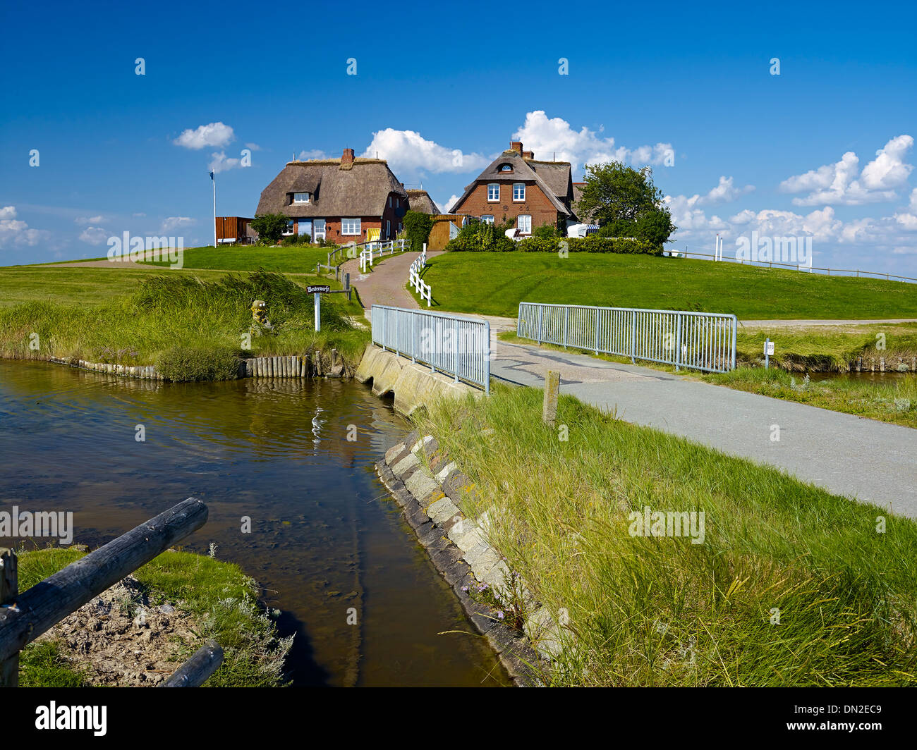 Westerwarft, Hooge, Frisia settentrionale, Schleswig-Holstein, Germania Foto Stock