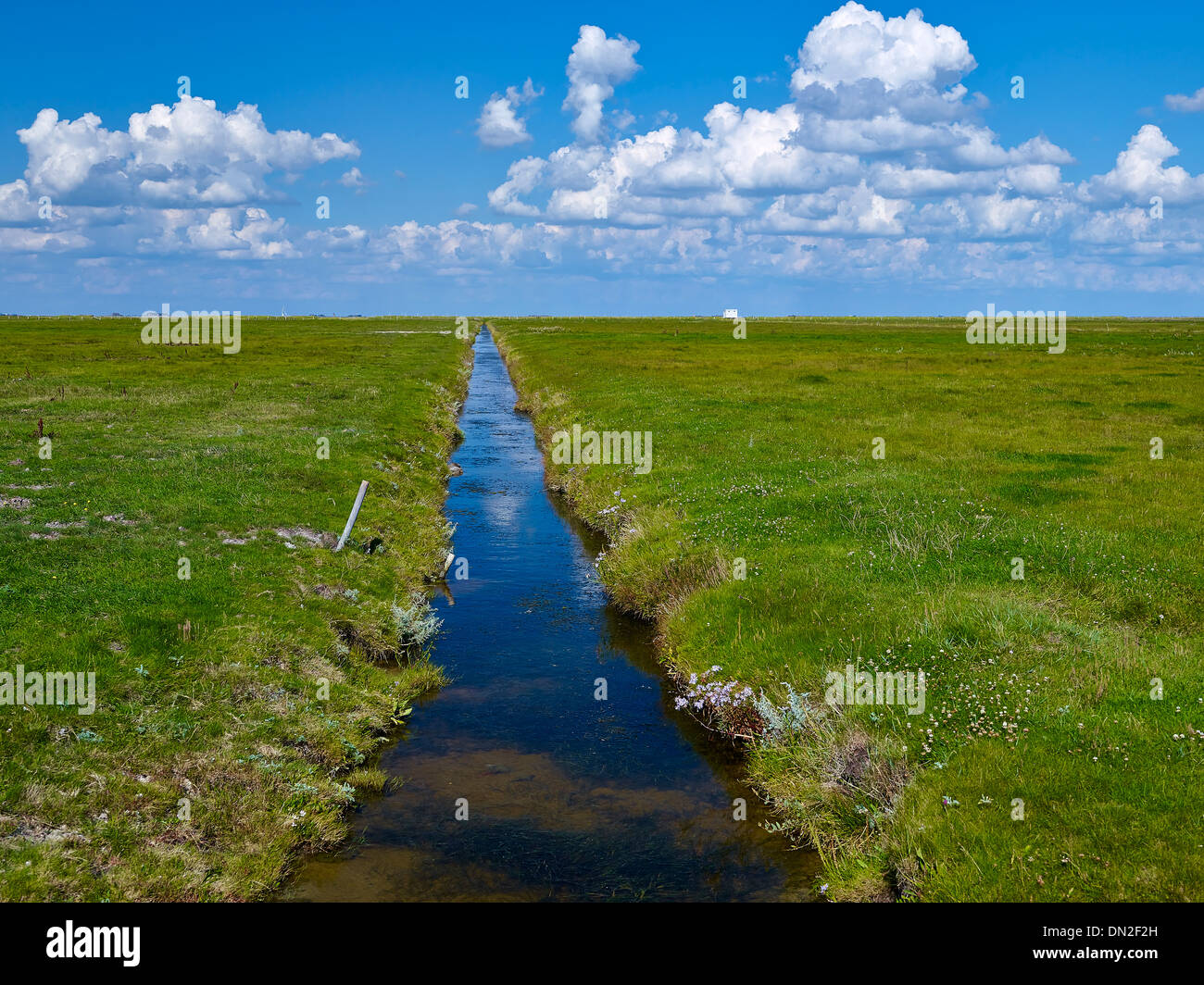 Priel su Hooge, Frisia settentrionale, Schleswig-Holstein, Germania Foto Stock