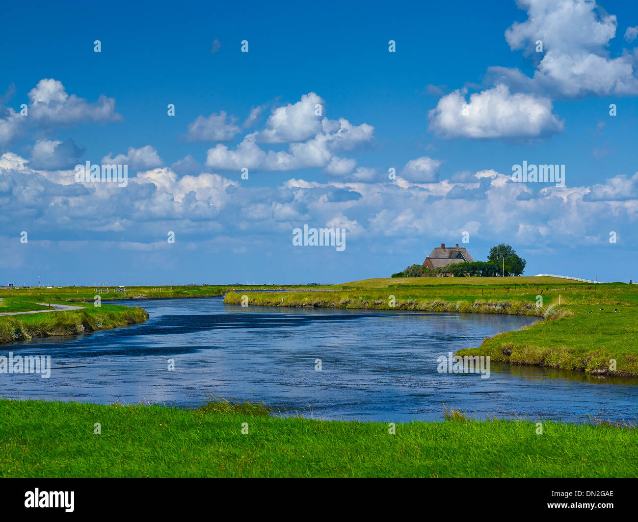 Kirchwarft su Hooge, Frisia settentrionale, Schleswig-Holstein, Germania Foto Stock