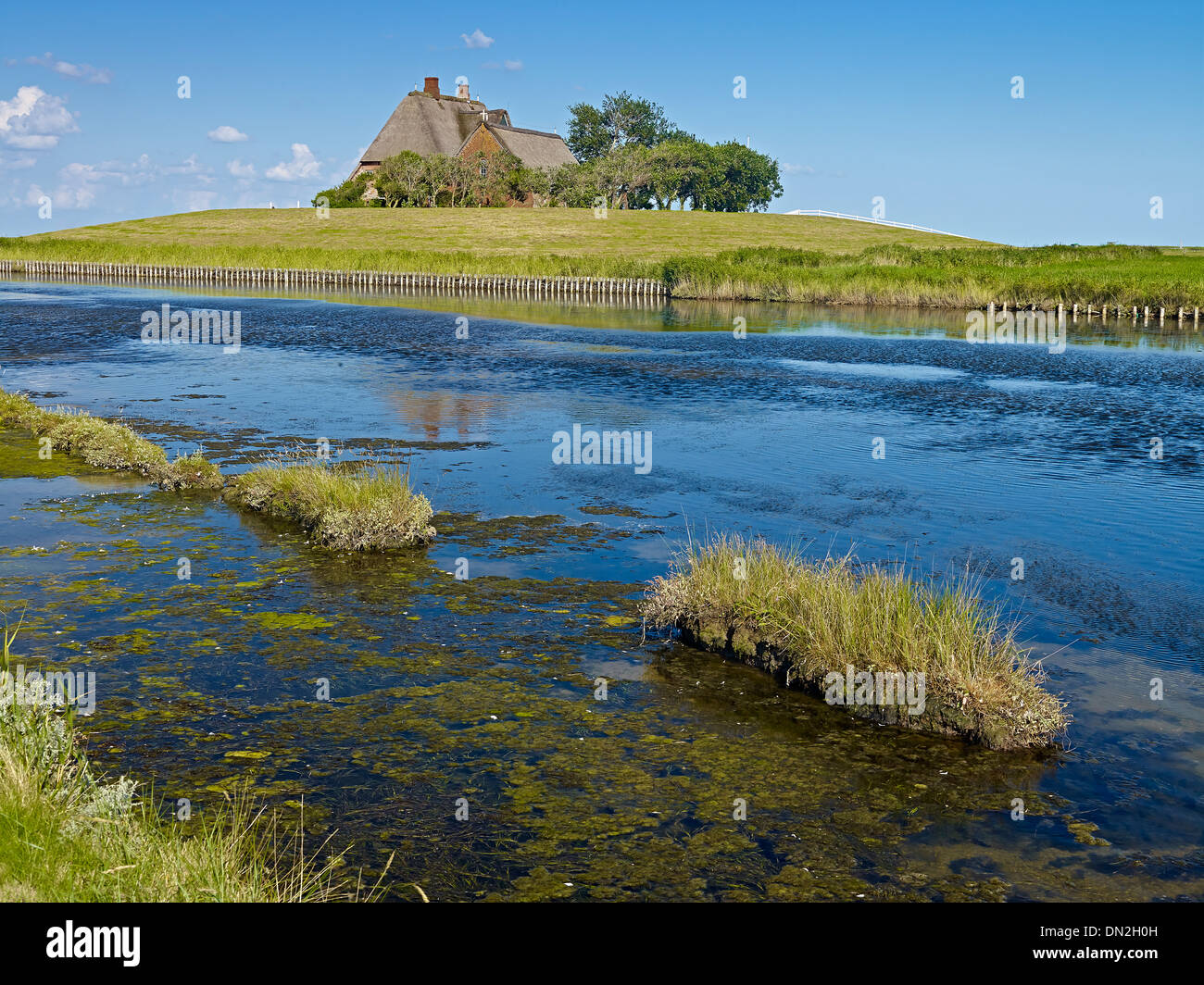 Kirchwarft su Hooge, Frisia settentrionale, Schleswig-Holstein, Germania Foto Stock