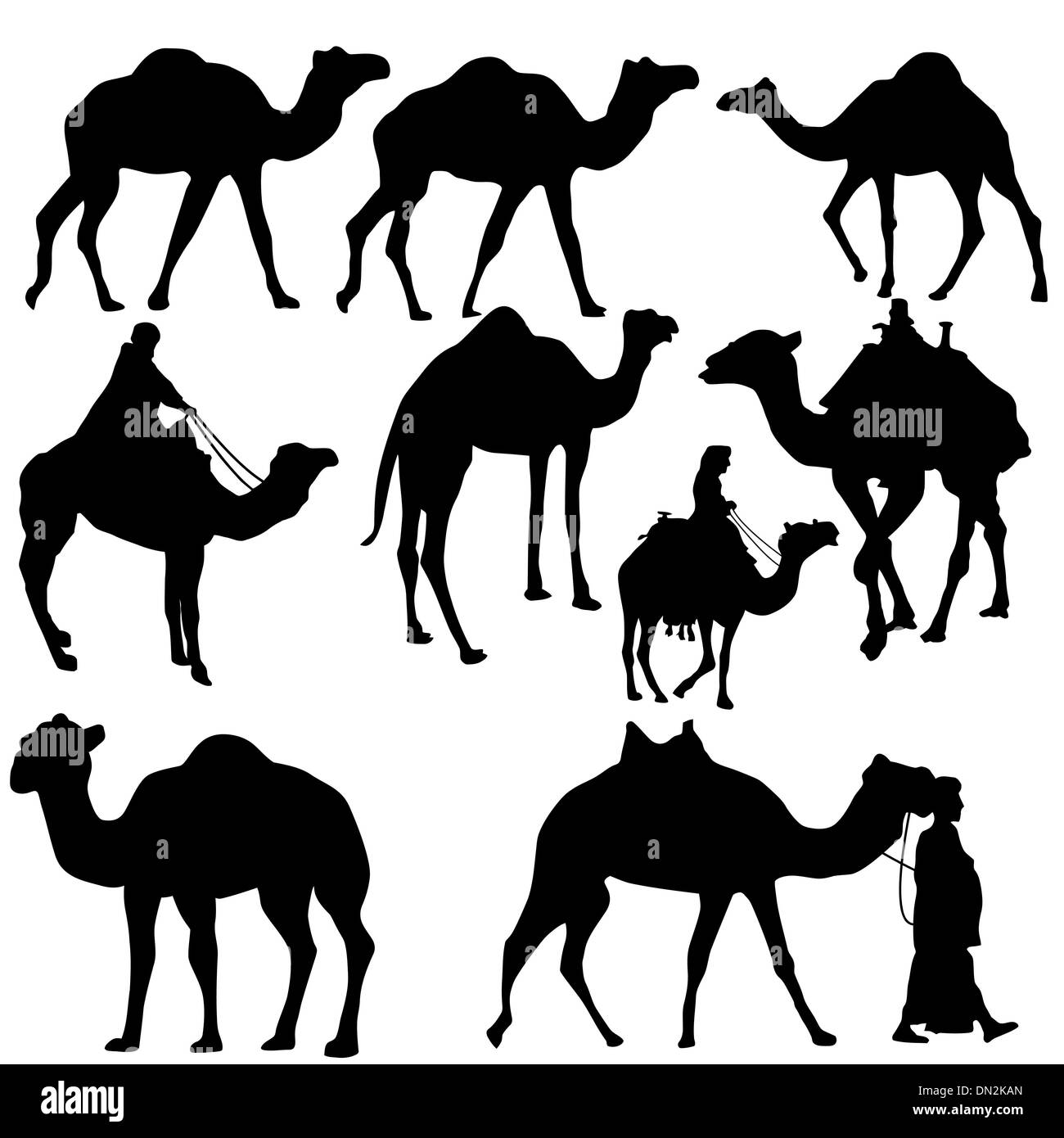 Set di cammelli sagome Illustrazione Vettoriale