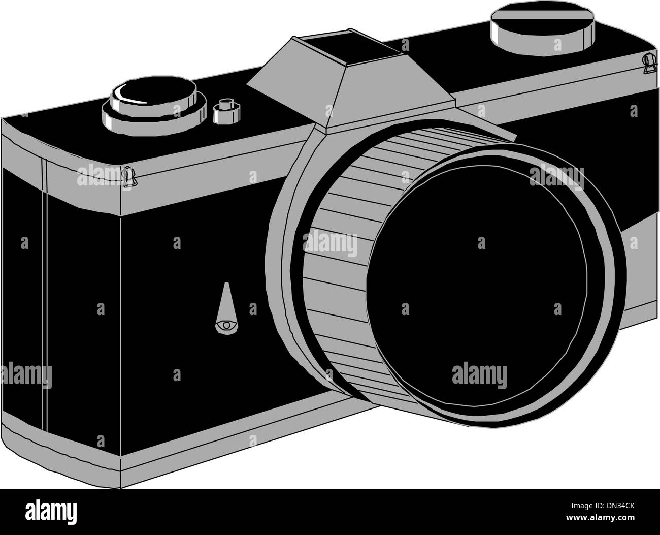 Professional SLR Fotocamera Illustrazione Vettoriale