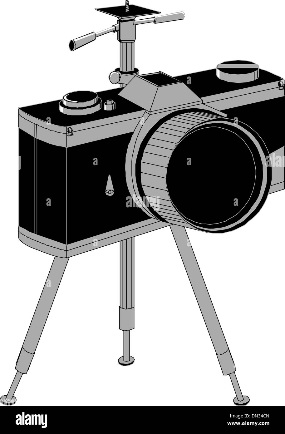 Professional SLR Fotocamera Illustrazione Vettoriale