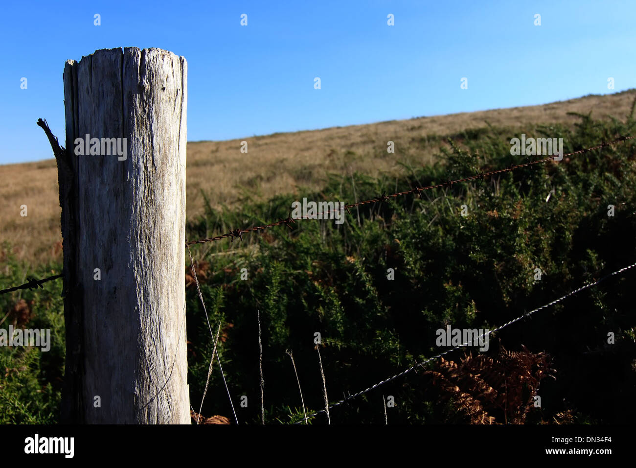 Il vecchio posto di legno nel recinto di un prato Foto Stock