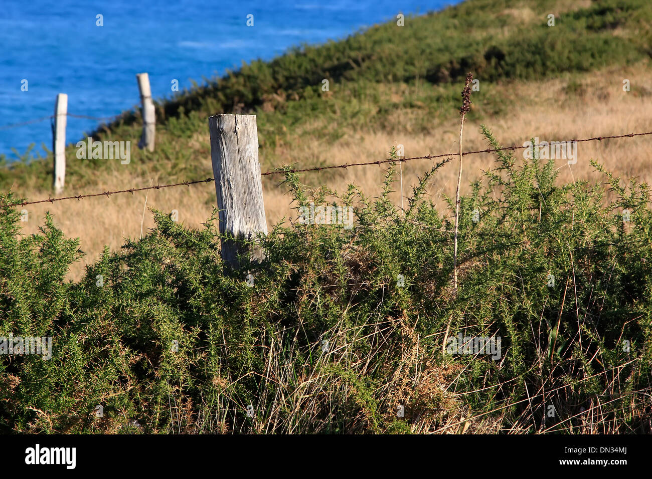 Il vecchio posto di legno nel recinto di un prato Foto Stock