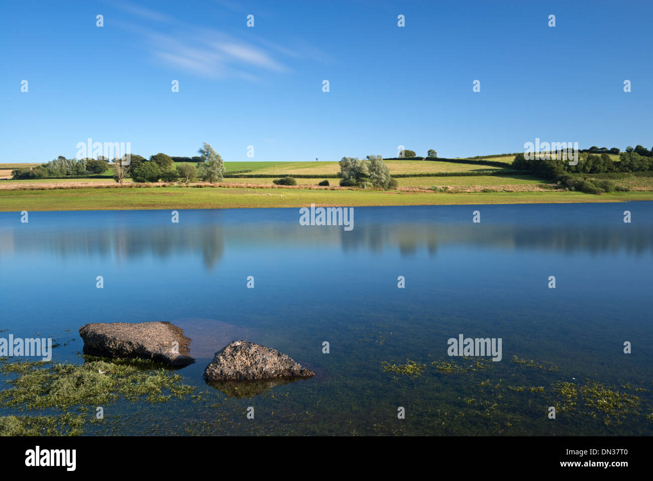 Lago Wimbleball dalla riva, Exmoor, Somerset, Inghilterra. Estate (Agosto) 2013. Foto Stock