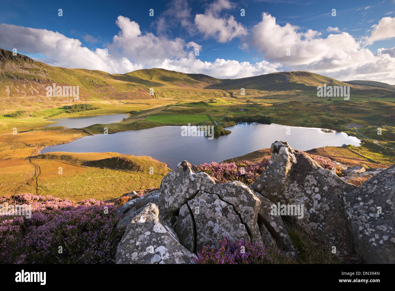 Soleggiato montagne circostanti Cregennen Laghi, Parco Nazionale di Snowdonia, Wales, Regno Unito. Tarda estate (Settembre) 2013. Foto Stock