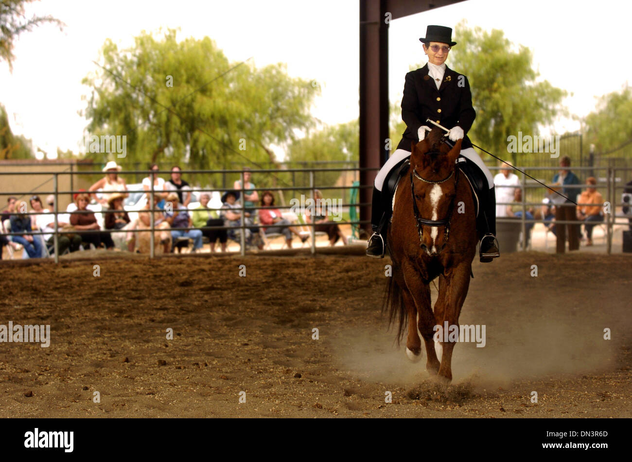 Sep 30, 2006; Brentwood, CA, Stati Uniti d'America; Julie Wyman di Knightsen esegue una musica freestyle con Murray, un 22-year-old quarter horse, durante il tè del pomeriggio con un flair equestre finalizzata alla raccolta di fondi per l'Oriente Contra Costa Historical Society presso il monte Maestà Ranch in Brentwood. I partecipanti sono stati trattati per il tè prima di guardare un programma di dressage differenti tecniche di formazione e un fl Foto Stock