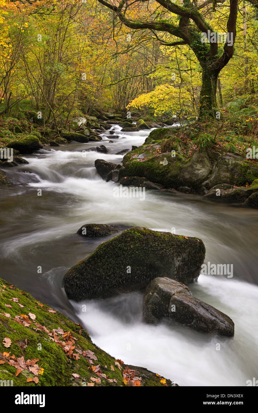 Oriente Lyn River a Watersmeet, Exmoor, Devon, Inghilterra. In autunno (Novembre) 2013. Foto Stock