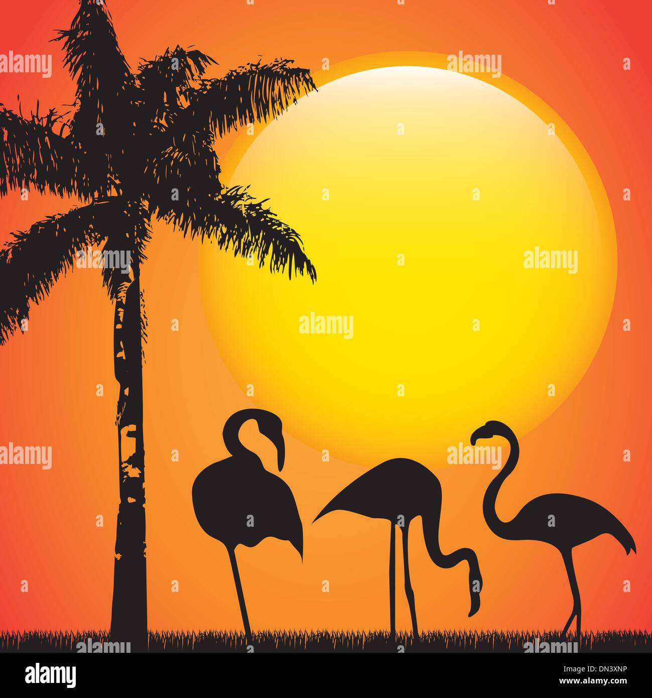 Flamingo Illustrazione Vettoriale