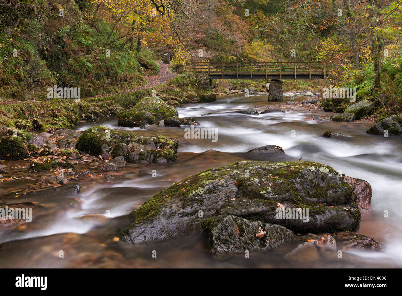 Oriente Lyn River a Watersmeet, Exmoor, Devon, Inghilterra. In autunno (Novembre) 2013. Foto Stock