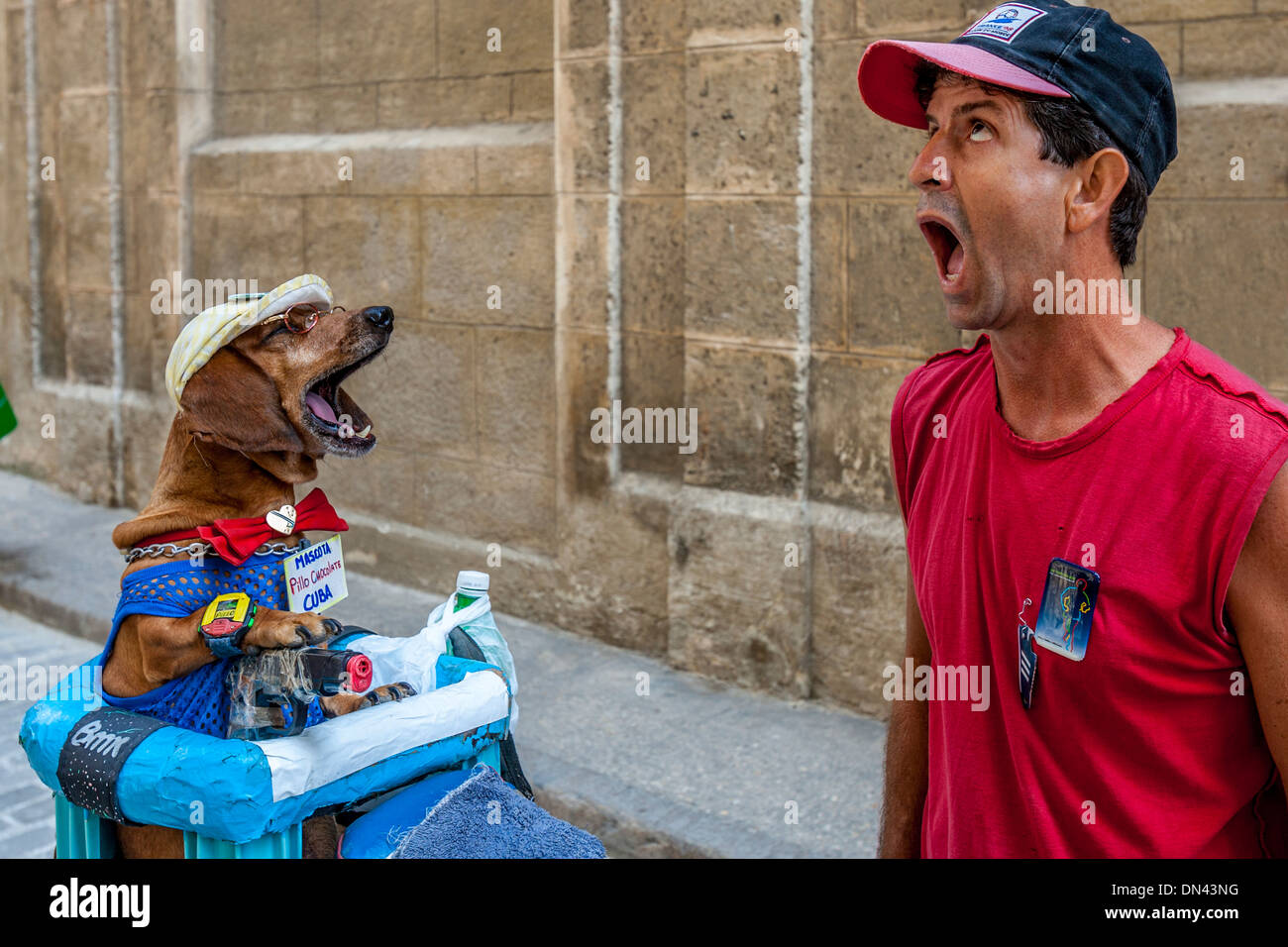 Animatore di strada e cantare il cane, l'Avana Vecchia Havana, Cuba Foto Stock