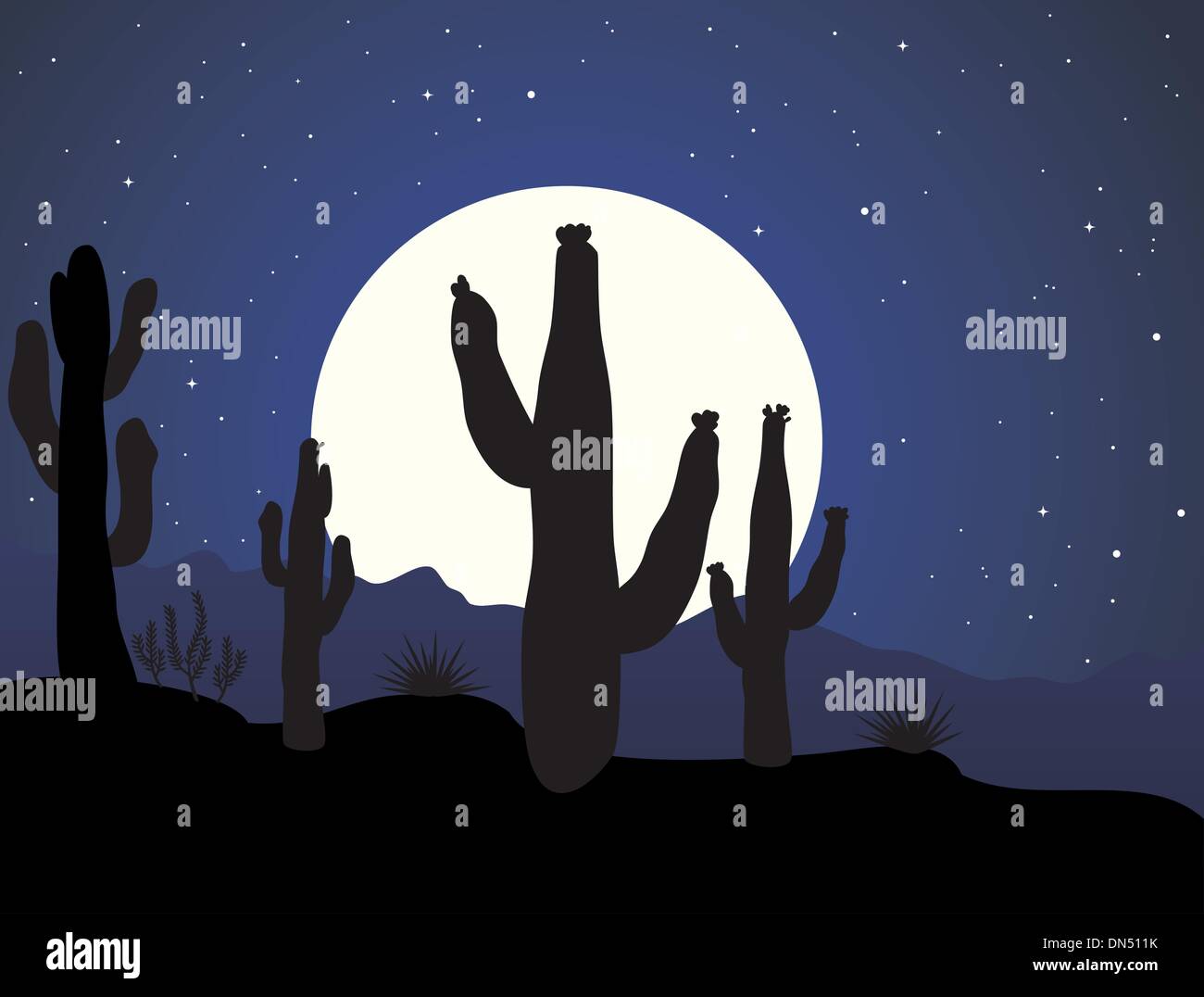 Cactus Del Deserto in Messico Immagine Stock - Immagine di sfondo