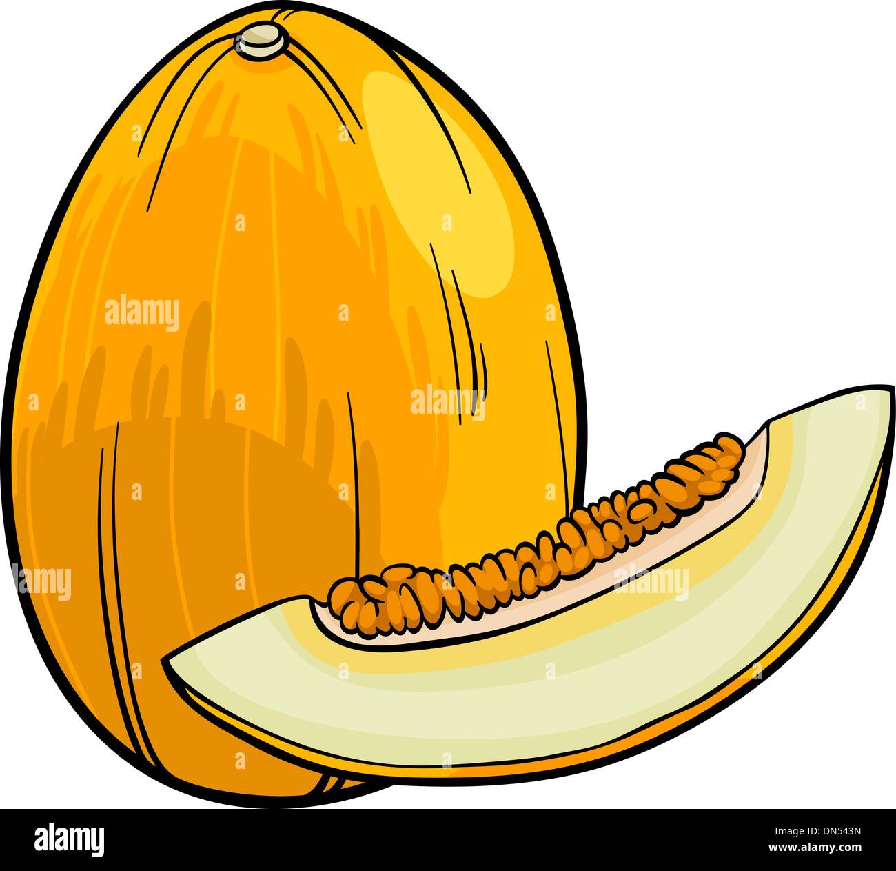 Frutto di melone cartoon illustrazione Illustrazione Vettoriale