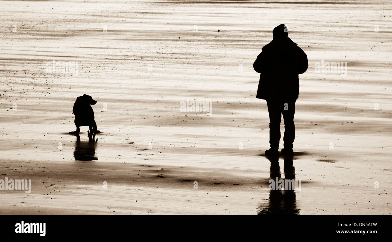 Cane incrostazioni sulla spiaggia. Regno Unito Foto Stock