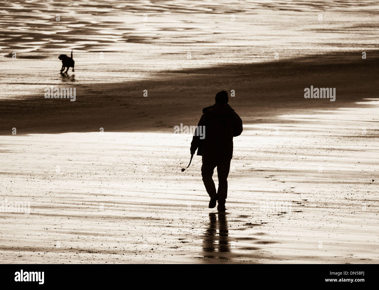 Dog walker su Seaton Carew spiaggia vicino a Hartlepool, Inghilterra. Regno Unito Foto Stock