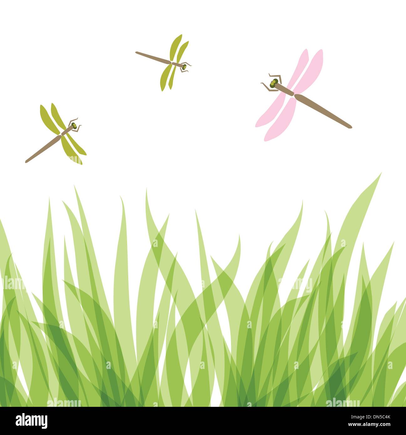libellula Illustrazione Vettoriale
