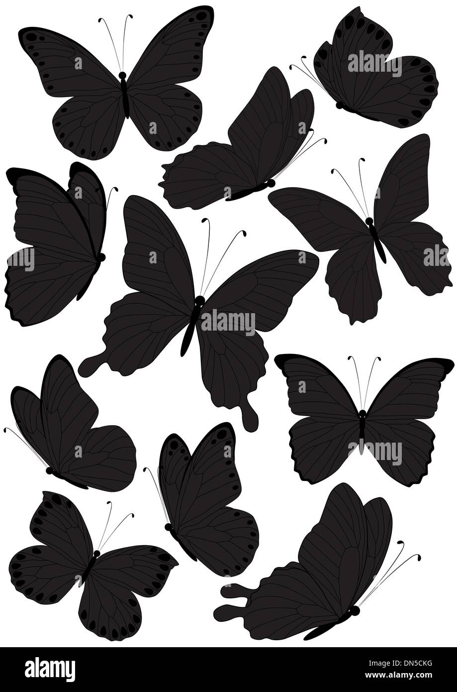 Silhouette farfalle Illustrazione Vettoriale