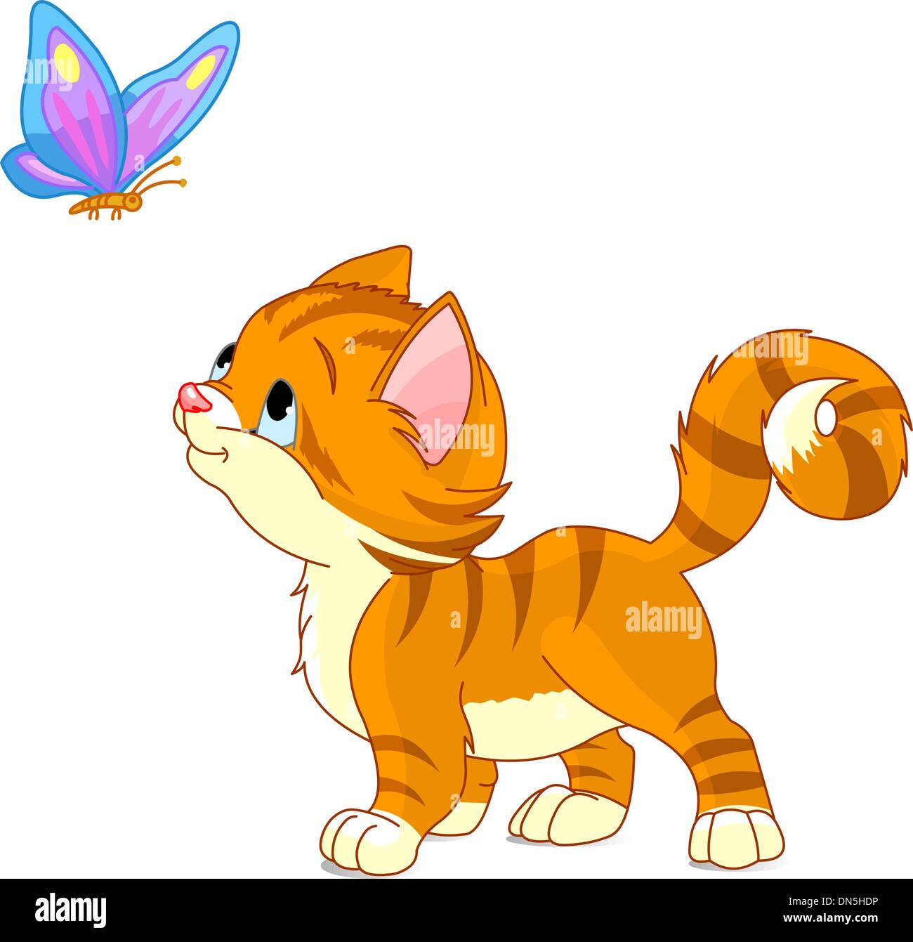 kitten and butterfly