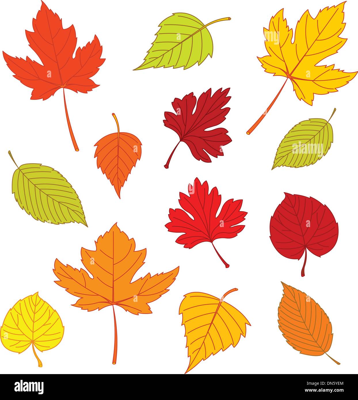 Foglie di autunno su bianco Illustrazione Vettoriale