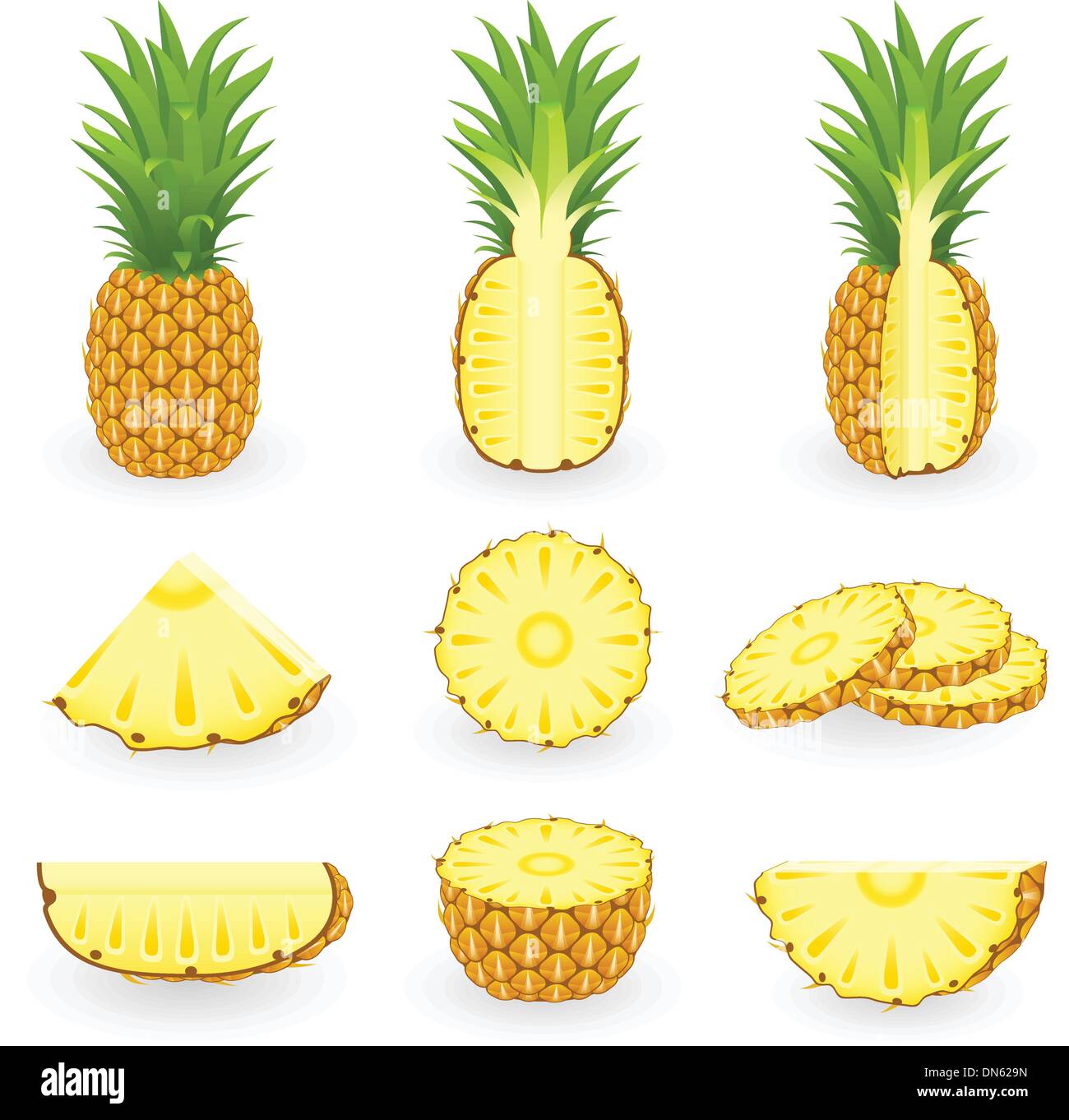 Ananas Illustrazione Vettoriale