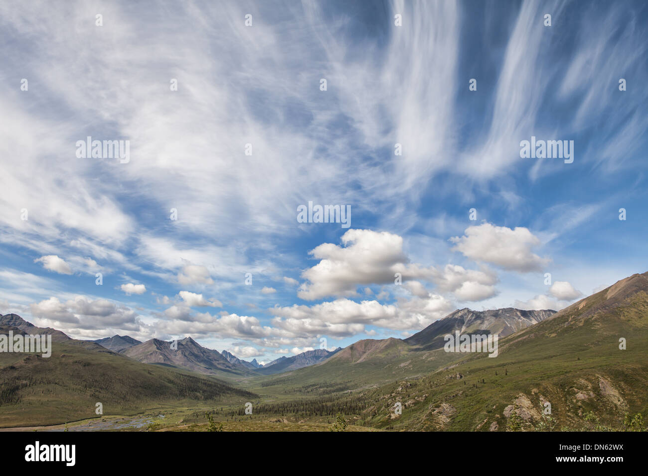 Vasti panorami dal Dempster Highway in Yukon Territory in estate. Foto Stock