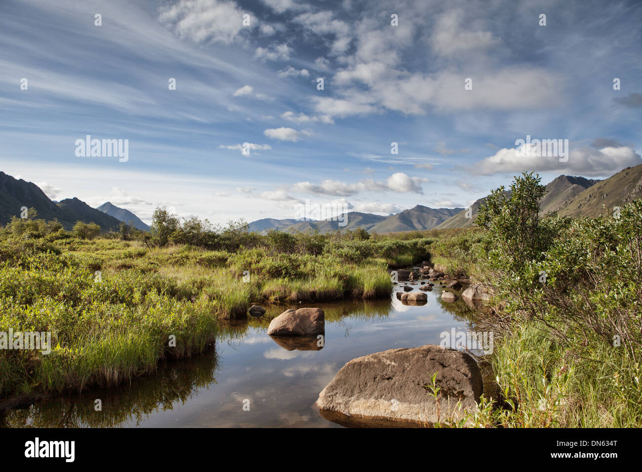 Tranquillo rampicate creek in Yukon Territory vicino lapide sulla Dempster Highway. Foto Stock