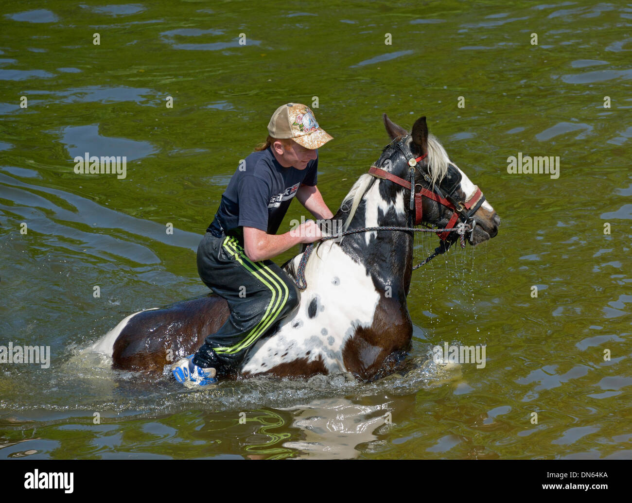 Viaggiatore zingaro di equitazione nel fiume Eden. Appleby Horse Fair, Appleby-in-Westmoreland, Cumbria, England, Regno Unito, Europa Foto Stock