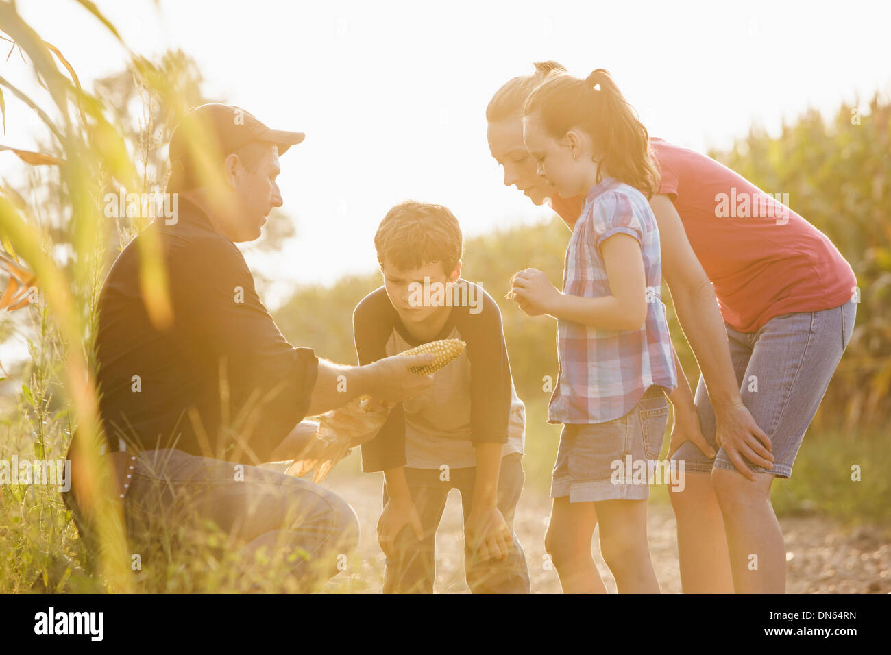 Famiglia caucasica esaminando il raccolto di mais in agriturismo Foto Stock