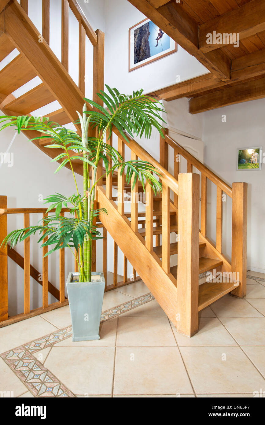 Scala in legno e vasi di piante in casa moderna Foto Stock