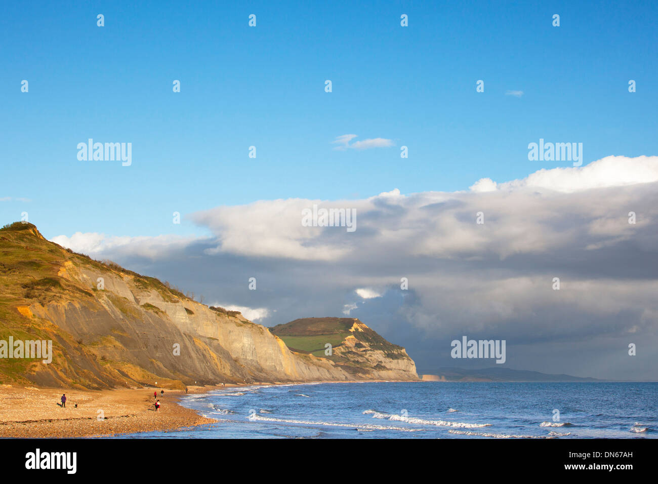 Vista di Golden Cap su Jurassic Coast, Dorset, Inghilterra visto dal Charmouth con i cacciatori di fossili sulla spiaggia. Foto Stock