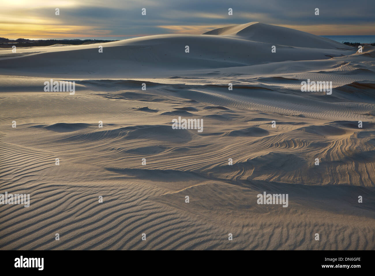 Novembre Dune, argento, Lago Michigan Foto Stock