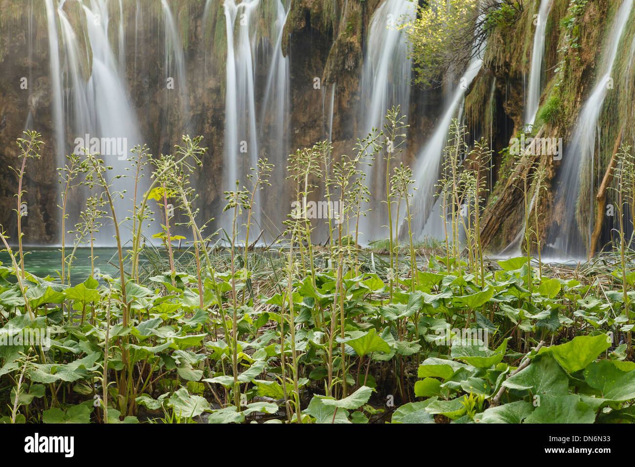 Cascata in primavera, il Parco Nazionale di Plitvice, Croazia, Europa. Foto Stock