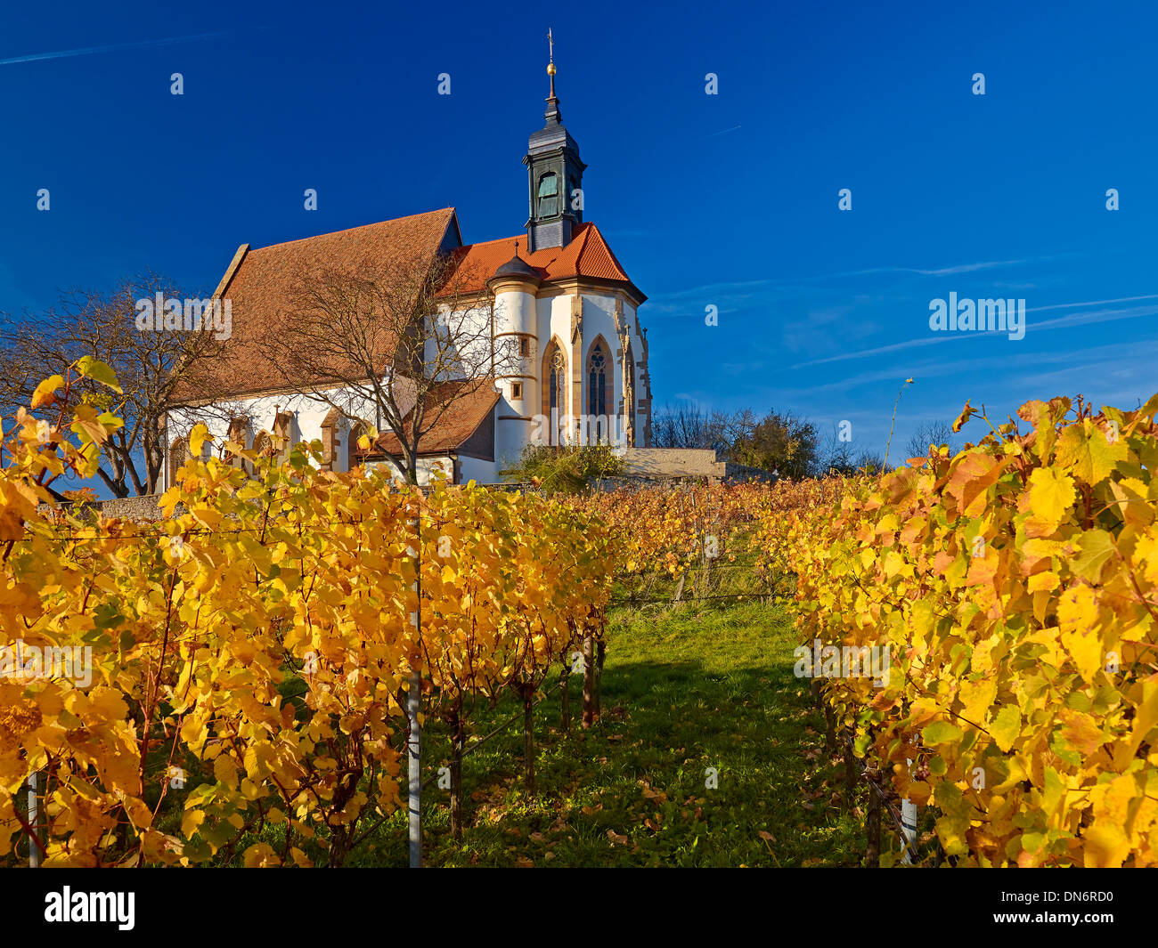 Chiesa di Maria im Weingarten, Volkach sui principali, bassa Franconia, Baviera, Germania Foto Stock