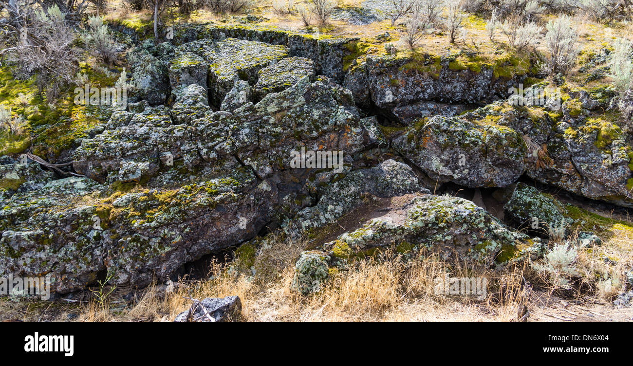 Il flusso di lava formando un campo di roccia da antiche attività vulcanica. Idaho, Stati Uniti Foto Stock